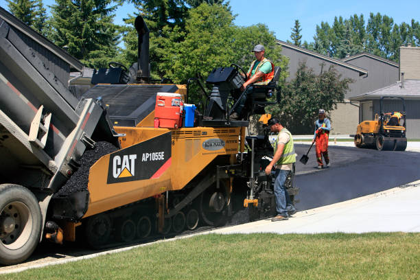 Best Cobblestone Driveway Pavers  in Hollywood, FL